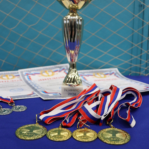 Состязания по настольному теннису 2024